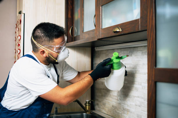 Best Affordable Pest Control Services  in Lindenwold, NJ