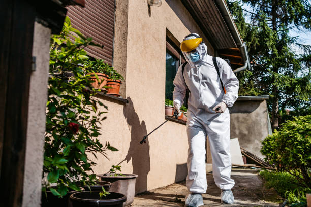 Best Bird Control  in Lindenwold, NJ