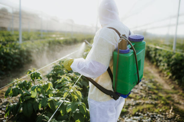 Pest Control Cost in Lindenwold, NJ